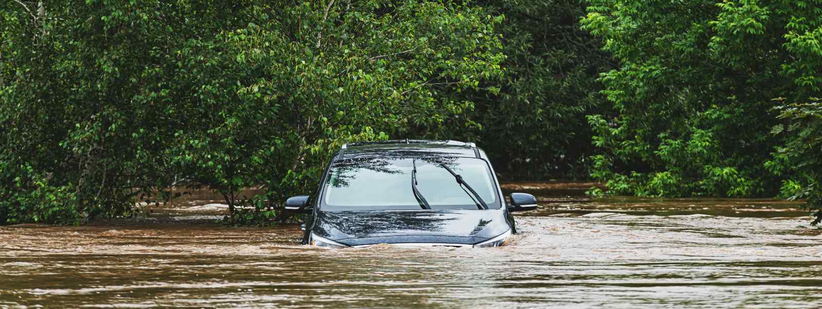 A car stuck in flooded water