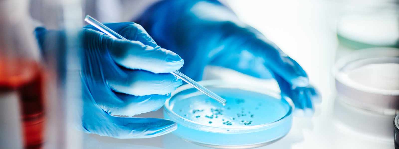 A chemist working with a petri dish in the lab