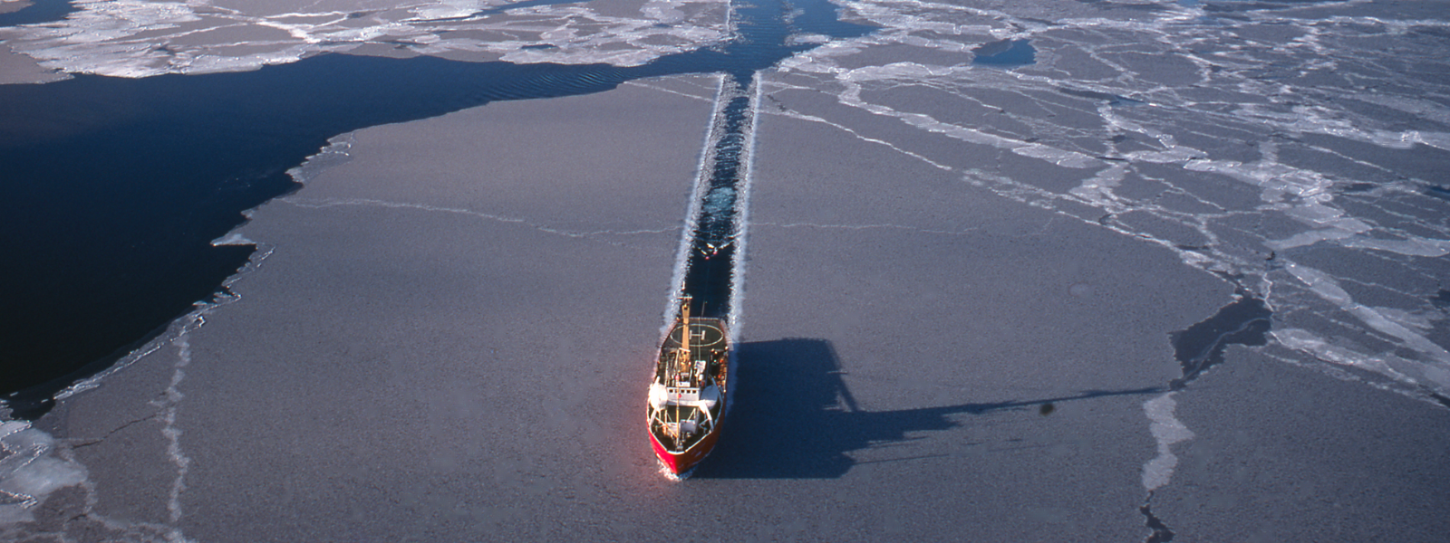 Ship in the arctic sea