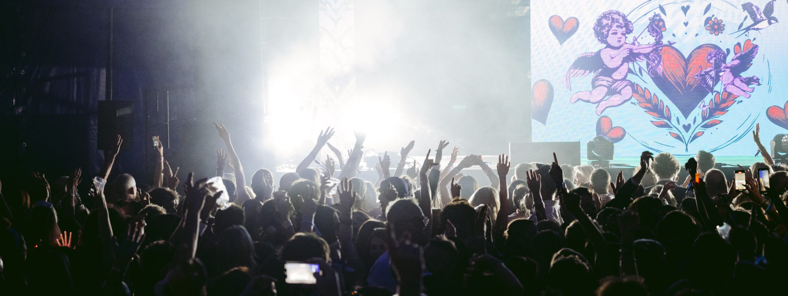 The audience at Henley Music Festival